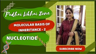 Molecular Basis of Inheritance2biology  neet2024education  molecularbasisofinheritancedna [upl. by Saihttam283]