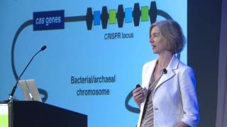 Creator Space™ Science Symposium  Jennifer Doudna [upl. by Acinnad]