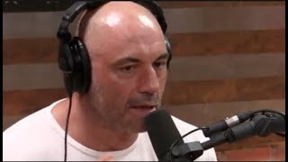 Joe Rogan  Whats Going on With the Carnivore Diet [upl. by Samford375]