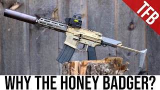 Why the Q Honey Badger is Better than the AR15 [upl. by Esteban]