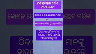 ରୁଢି ପ୍ରୟୋଗ ଓ ଅର୍ଥ odia grammar school [upl. by Angelico]