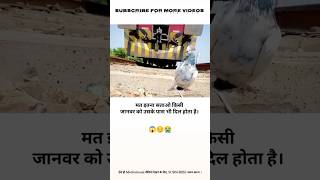 जानवर को motivation confidence mindsets success focus ytshorts sorts [upl. by Alahs]