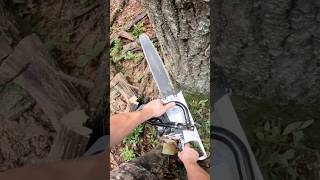 Ported 500i cutting down big red oak [upl. by Augustus]