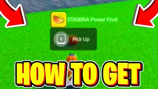 How To GET FRUITS amp ALL FRUIT LOCATIONS In Lost Souls Roblox [upl. by Dnamron]