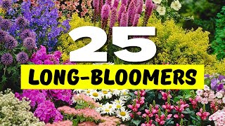 😱 Top 25 Best LONGEST Blooming Perennial Flowers 🌼 BLOOMS THAT NEVER QUIT 💐✨ [upl. by Bertie]