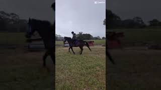 Cantering with long stirrups was making my seat so much better [upl. by Madriene]