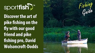 Guide to Fly Fishing for Pike with David WolsoncroftDodds [upl. by Anahsohs]