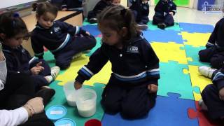 Taller ¿dulce o salado E Infantil Casvi [upl. by Obe]