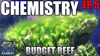 CHEMISTRY in a Budget Reef Tank  Nitrates Phosphates amp Alkalinity [upl. by Pitarys]