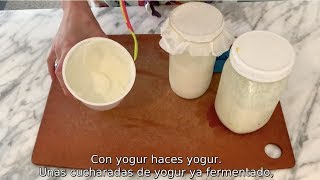 LOS BÚLGAROS NO PRODUCEN YOGUR fermentos mesófilos vs termófilos [upl. by Suzzy]