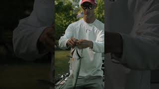 WACKY RIG tips to Catch HUGE Bass [upl. by Yecaw]