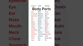 Names of different parts of the body shorts [upl. by Dobson]