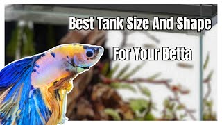 The Best Tank Size And Shape For Your Betta [upl. by Ninon492]