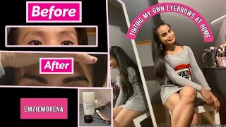 REFECTOCIL eyebrows tint at home practicemakesperfect 🤎 [upl. by Ahsilak]