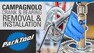 Crank amp Bearing Removal and Installation  Campagnolo® UltraTorque™ [upl. by Eitnom]