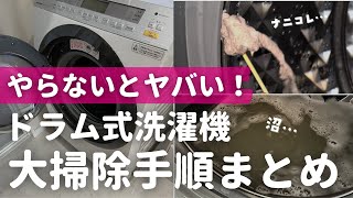 【ヤバいホコリの塊ズルズル】パナソニックドラム式洗濯機のお掃除手順と注意点まとめ [upl. by Eerej]