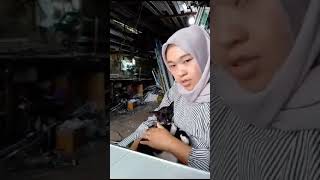 Cayang beleki cat anakkucinglucuimutimut catlover [upl. by Arimahs]