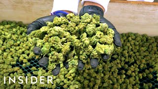 How Lowell Herb Co Makes 4 Million Joints A Year [upl. by Haggerty]