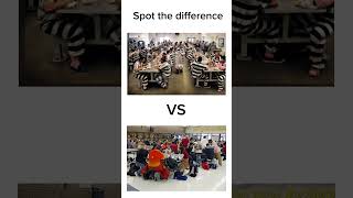 School vs prison ￼ [upl. by Harlie]