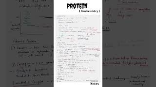 Protein Biochemistry  CSIR NET life science csirnet biochemistry protein [upl. by Noryv]