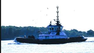 Suderman amp Young Towing Companys Harbor Tug EVELENA [upl. by Ariaz996]