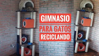 Gimnasio Para Gatos Utilizando Materiales Reciclados [upl. by Sinoda834]