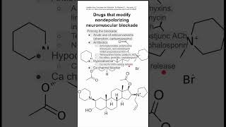 Drugs that modify nondepolarizing neuromuscular blockade [upl. by Daryle509]