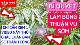 TẬP 777 BÍ QUYẾT LÀM BÔNG THUẬN VỤ SỚM CHỈ CẦN XEM 1 VIDEO NÀY THÔI CHẮC CHẮN BẠN SẼ THÀNH CÔNG [upl. by Novyar]