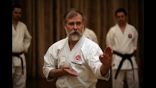 Asai Kata Dai Itsu KenBassai Kihon and Bunkai step by step Dormenko Sensei 8 dan [upl. by Anier593]