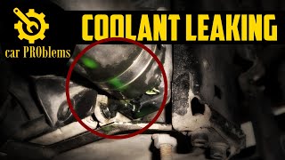 Coolant Leaking From Hose  How to Fix Antifreeze Hose Leak [upl. by Whitney581]