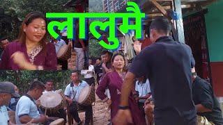 लालुमै गीतमा बब्बाल पन्चेबाजा डान्स।।panche baja dance 2081Lalumai song [upl. by Armond]