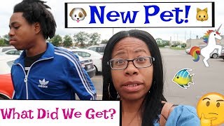 We Got A New Pet  Family Vlogs  JaVlogs [upl. by Chaing975]