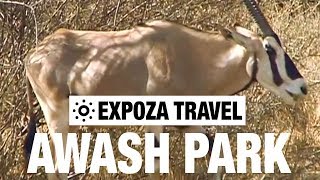 Awash Park Ethiopia Vacation Travel Video Guide [upl. by Yanel]