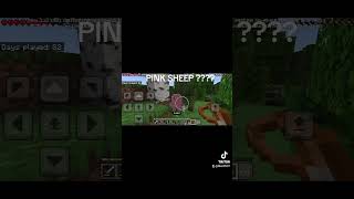 PINK SHEEP IN MINECRAFT [upl. by Fachini]