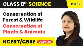 Conservation of Forest amp Wildlife  Conservation of Plants amp Animals  Class 8 Science Ch 5  CBSE [upl. by Ilbert]