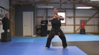 Kenpo Karate Form 3 [upl. by Liggitt]