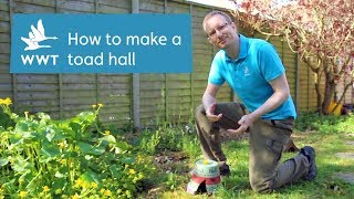 How to make your own toad hall from a garden pot  WWT [upl. by Sucram]