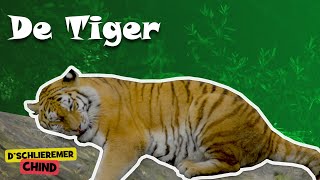 Schlieremer Chind  De Tiger  Mir gönd in Zoo [upl. by Tenenbaum519]