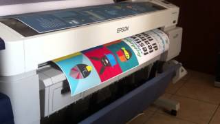 printing with EPSON SC T7000 plotter [upl. by Odlopoel]