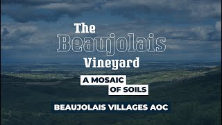 Beaujolais Villages  The Beaujolais Vineyard a Mosaic of Soils [upl. by Darci]