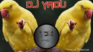 Pinjre me popat bole gondi remix demo dj yadu ydx [upl. by Anelahs]