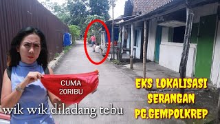 EKS LOKALISASI SERANGAN ‼ Main Es3kes3k Modal 20ribu Puas Ngecrot Di Ladang Tebu [upl. by Ursuline729]