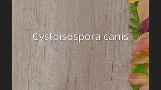 Cystoisospora canis [upl. by Yssej]