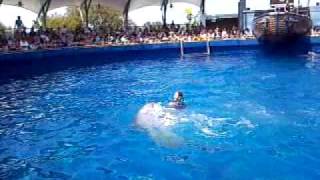 Miami Seaquarium  Miami Florida  Part 2 of 5 [upl. by Bock]