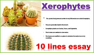 Xerophytes  10 lines essay on Xerophytes  10 lines on Xerophytes [upl. by Shere]