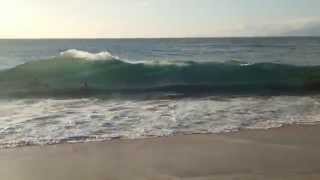 3big wave Maui kaanapali beach hotel hawaii [upl. by Kolosick]