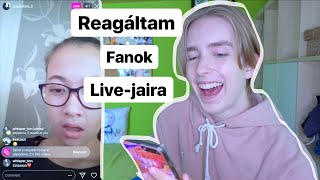 REAGÁLTAM FANOK LIVEJÁRA I WhisperTon [upl. by Livvi676]