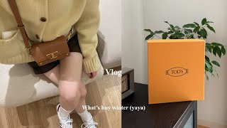 Vlog新しいバッグと服の購入品ZARADholicTod’s [upl. by Aylatan]