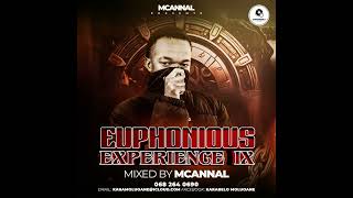 Euphonious Experience hearthisat [upl. by Kcirrag]