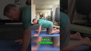 Cat Camel Stretch for Back Pain Disc Bulges and Spinal Mobility  Dr John Zielonka [upl. by Ydaf]